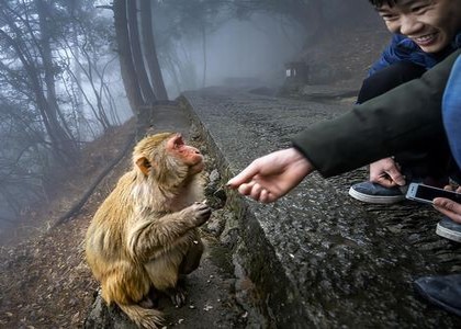 去除狐臭的8个简单小窍门