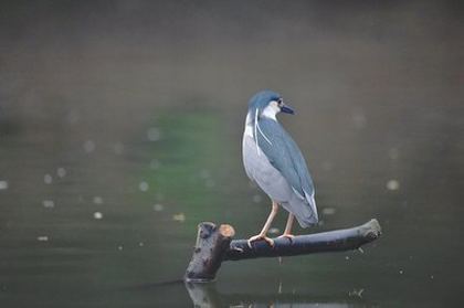 子宫里面白色液体是什么