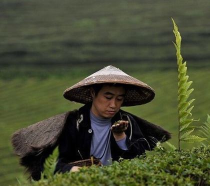 总裁在别的女人身上驰聘着