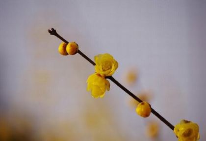 春风淫雨第8部分