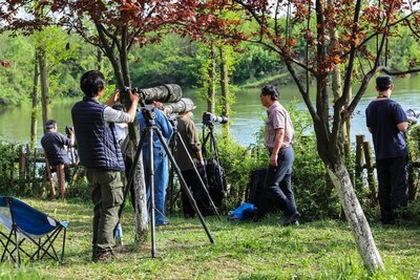 洗手池按压式塞子堵住了