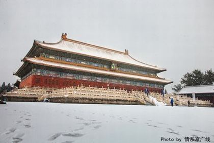 电影《风流草》